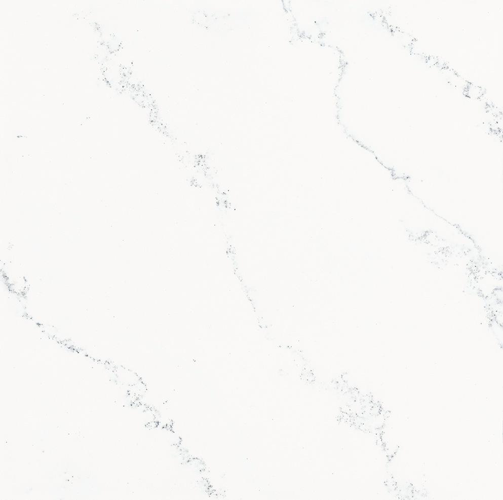 Chic Quartz Countertop