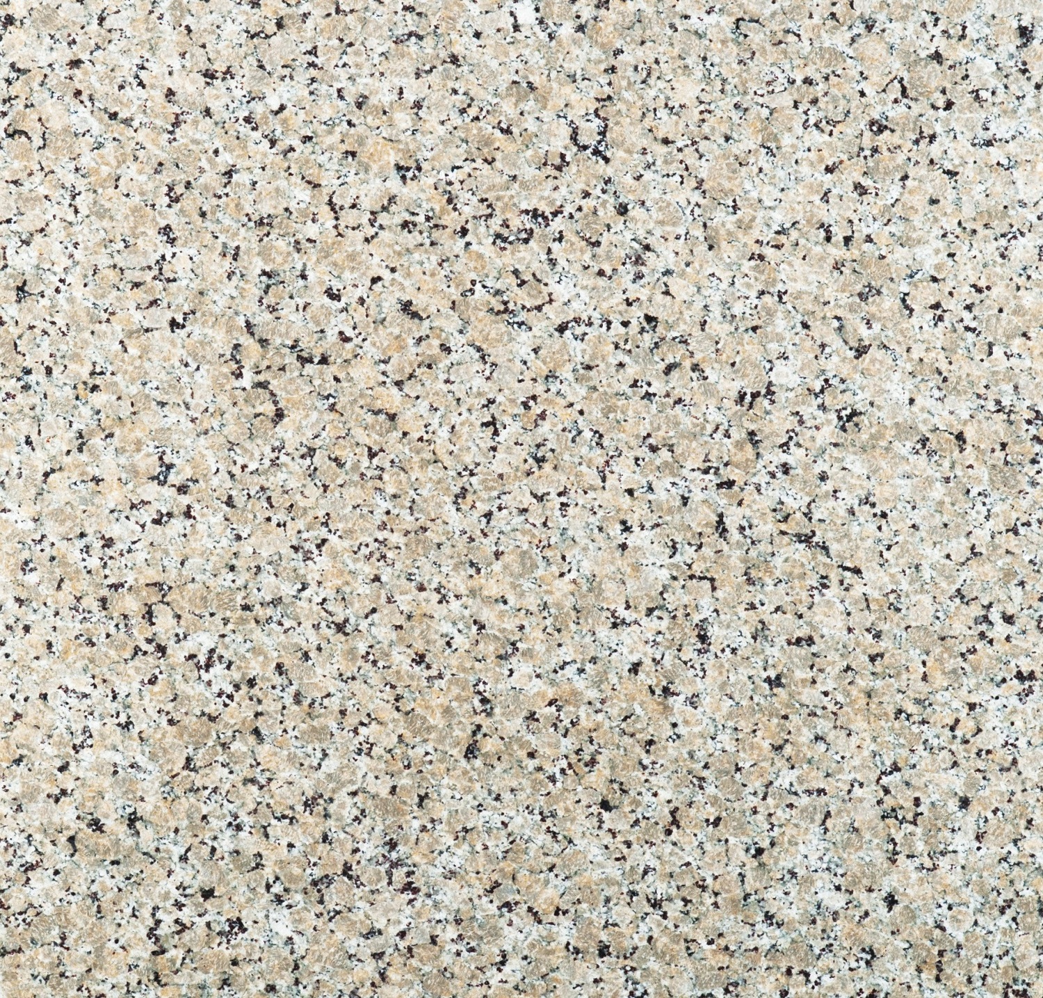 Pearl Sand Granite Countertop