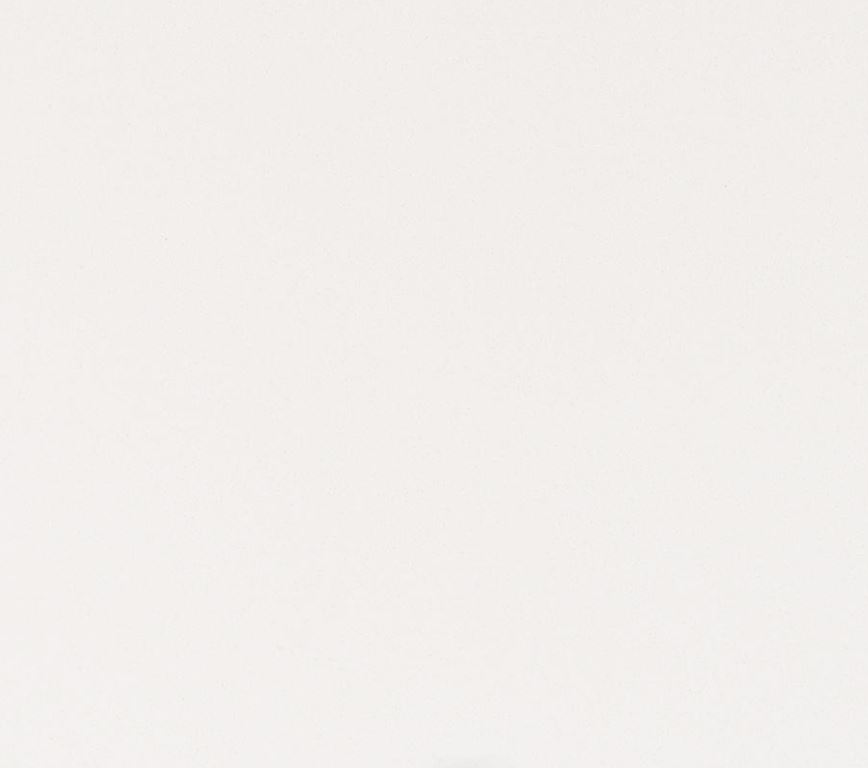 Venetian Quartz Countertop